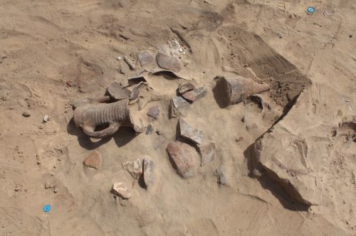 Missione archeologica a Tell el-Maskhuta: nuove scoperte dal Cnr-Ispc