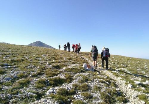 Ambiente e biodiversità: il tema centrale dei nuovi Cammini della Rete Ecologica di Lungo Termine LTER Italia