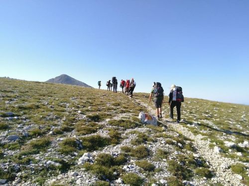 Ambiente e biodiversità: il tema centrale dei nuovi Cammini della Rete Ecologica di Lungo Termine LTER Italia