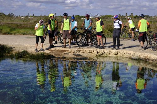 Transizioni non solo Ecologiche: il Cammino LTER dal Mar Piccolo di Taranto ad Acquatina di Lecce