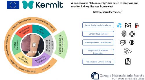 KERMIT, progetto per la diagnosi precoce delle malattie renali