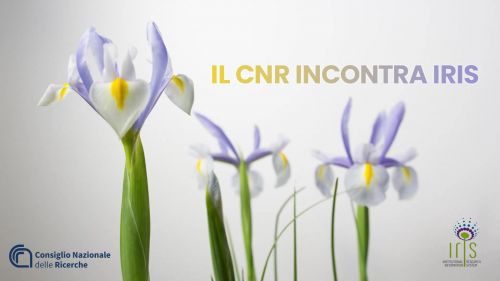 Iris, nuovo repository dei prodotti della ricerca Cnr