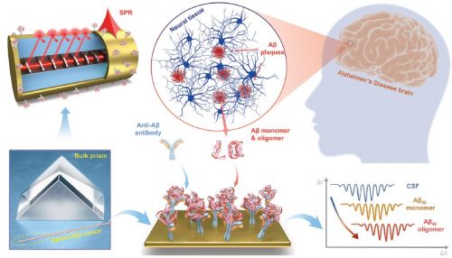 Alzheimer, sviluppato un sistema di sensing avanzato in fibra ottica per il rilevamento simultaneo e discriminazione di biomarcatori clinici della malattia