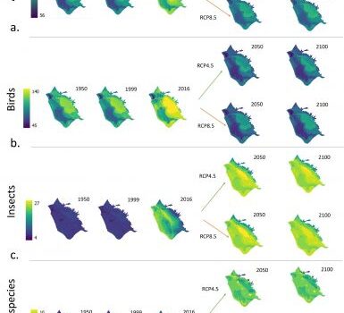Il cambiamento della biodiversità animale del bacino del Lago di Massaciuccoli nel 2050