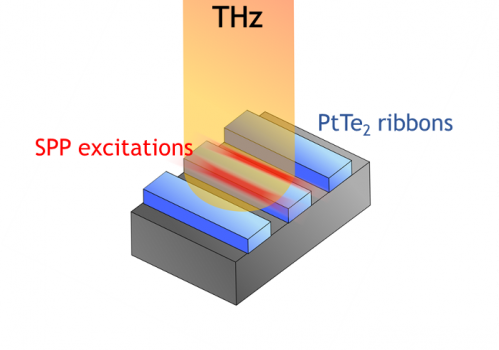 Quando la topologia incontra la luce terahertz: un nuovo modo di generare plasmoni polaritonici di superficie per tecnologie nel terahertz
