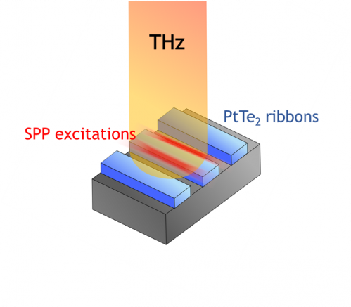 Quando la topologia incontra la luce terahertz: un nuovo modo di generare plasmoni polaritonici di superficie per tecnologie nel terahertz