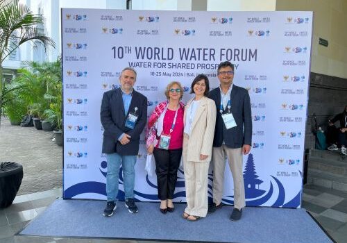 Il Cnr-Irsa ha partecipato al 10° World Water Forum