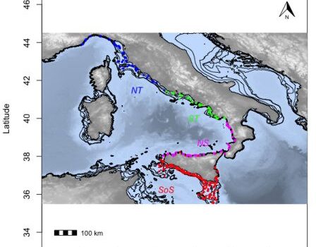 Determinare l'età degli organismi marini con la spettroscopia nel vicino infrarosso a trasformata di Fourier