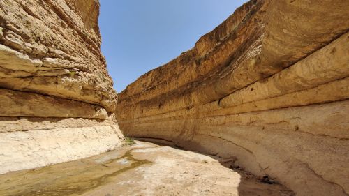 Viaggio attraverso i paesaggi culturali e il geo-patrimonio della Tunisia Meridionale