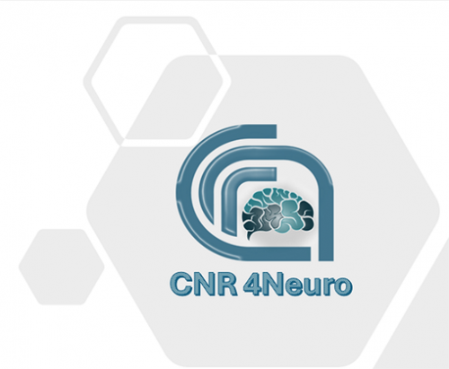 C4Neuro: la rete del Cnr per le Neuroscienze