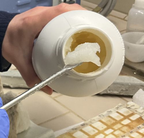 Un idrogel "green" per ridare splendore al patrimonio culturale lapideo: un nuovo traguardo per un restauro sostenibile