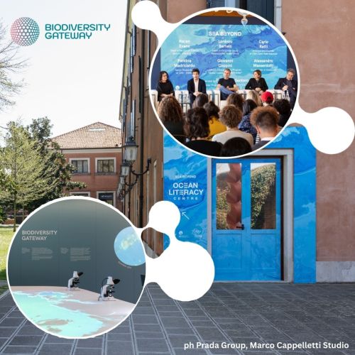 Progetto "Sea Beyond": il primo "Ocean Literacy Centre" con il contributo del Biodiversity Gateway