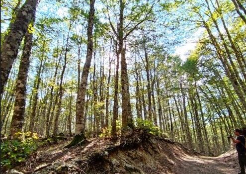 RiViVe, il laboratorio transdisciplinare del Centro Biodiversità