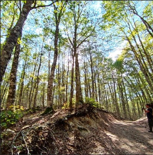 RiViVe, il laboratorio transdisciplinare del Centro Biodiversità