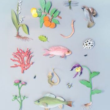 Il Gateway della Biodiversità al Forum Nazionale della Biodiversità 2025