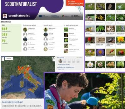 Prende ufficialmente il via la Nature Challenge scoutNaturalist