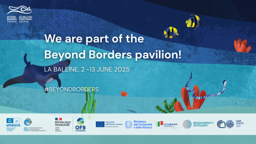 Cnr-Ismar e Biodiversity Gateway protagonisti alla Conferenza delle Nazioni Unite sugli Oceani 2025 |UNOC3